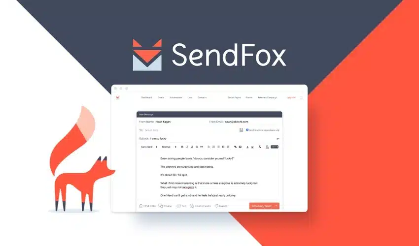 Temas y Plugins imprescindibles en una web de consultor o marca personal 1 sendfox de appsumo